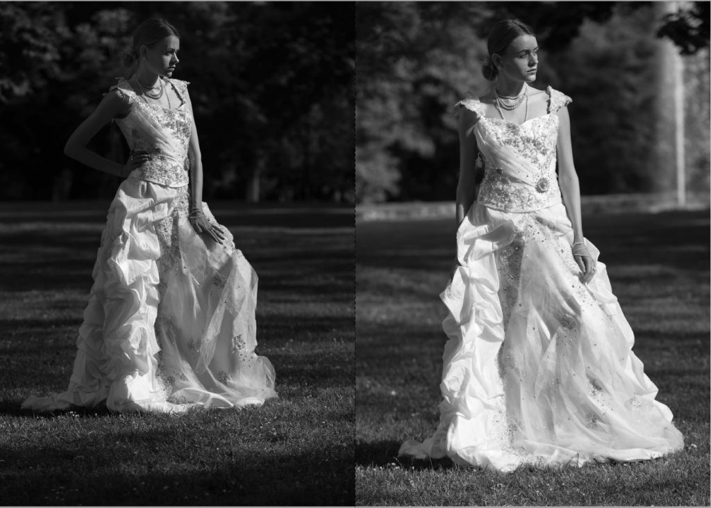 beauties and gardens